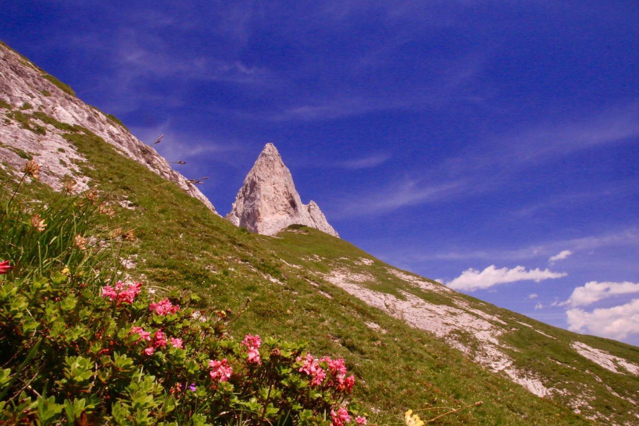 Schermerhuetten Tauplitzalm Экстерьер фото